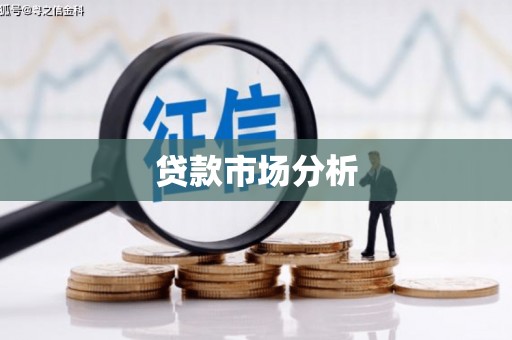 马关贷款市场分析