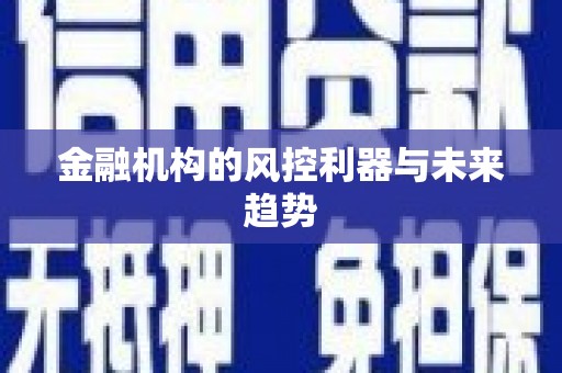 马关金融机构的风控利器与未来趋势