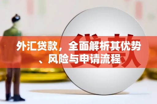 马关外汇贷款，全面解析其优势、风险与申请流程