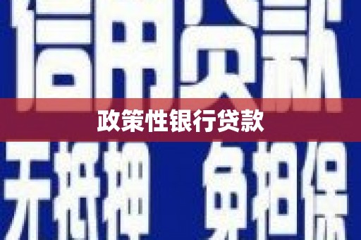 马关政策性银行贷款