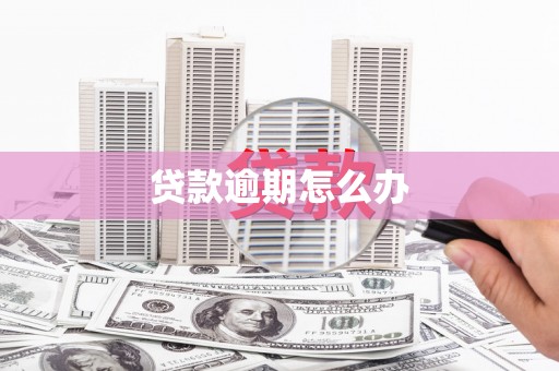 马关贷款逾期怎么办