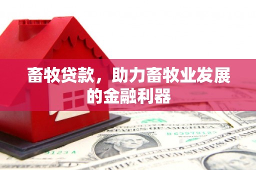 马关畜牧贷款，助力畜牧业发展的金融利器