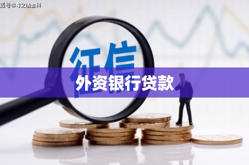 马关外资银行贷款