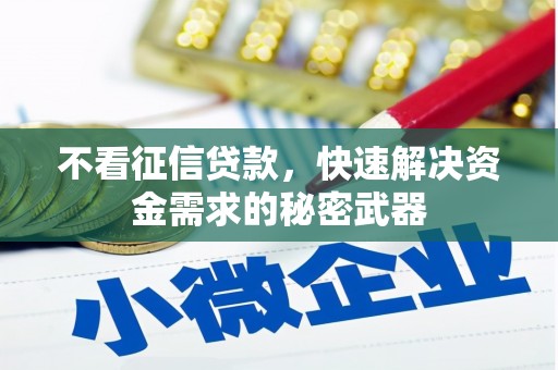 马关不看征信贷款，快速解决资金需求的秘密武器