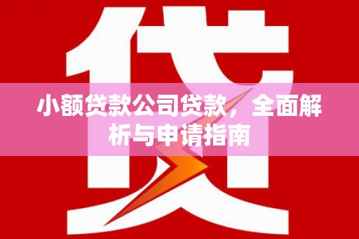 马关小额贷款公司贷款，全面解析与申请指南