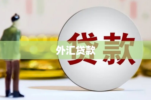 马关外汇贷款