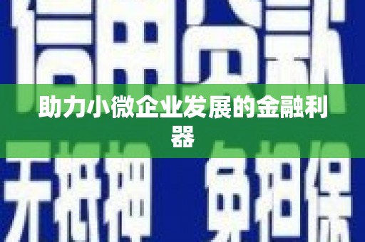 马关助力小微企业发展的金融利器