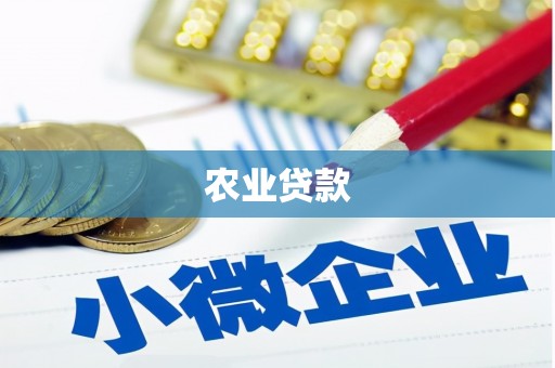 马关农业贷款