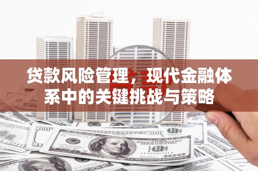 马关贷款风险管理，现代金融体系中的关键挑战与策略