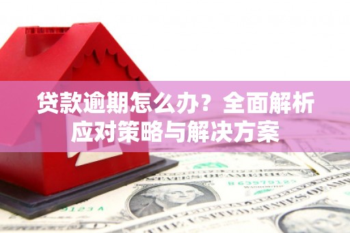 马关贷款逾期怎么办？全面解析应对策略与解决方案