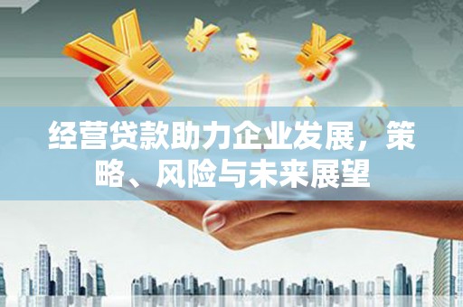 马关经营贷款助力企业发展，策略、风险与未来展望