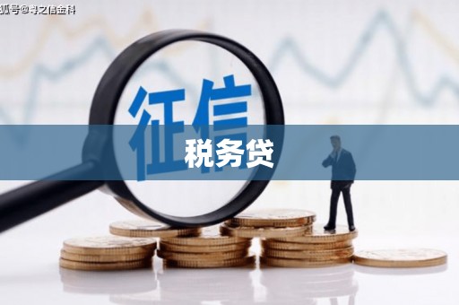 马关税务贷