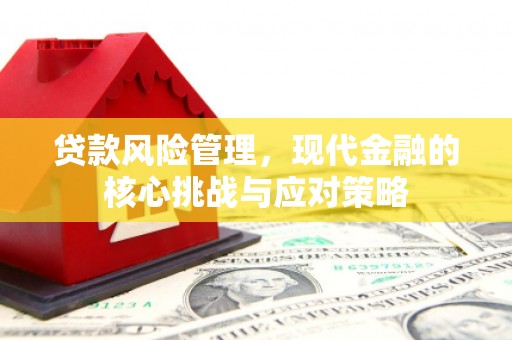 马关贷款风险管理，现代金融的核心挑战与应对策略
