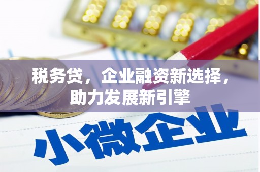 马关税务贷，企业融资新选择，助力发展新引擎