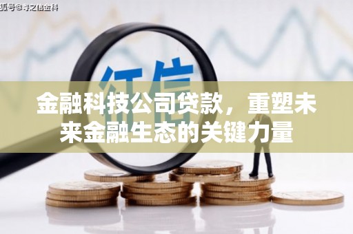 马关金融科技公司贷款，重塑未来金融生态的关键力量