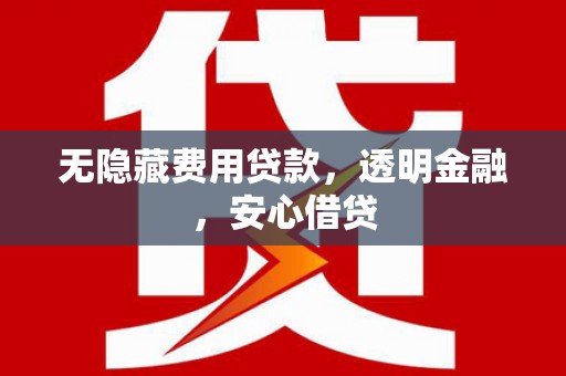 马关无隐藏费用贷款，透明金融，安心借贷