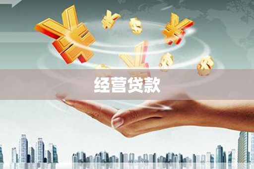 马关经营贷款