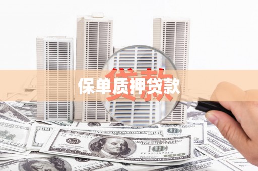 马关保单质押贷款
