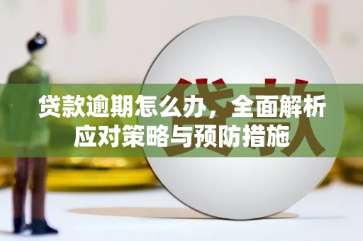 马关贷款逾期怎么办，全面解析应对策略与预防措施