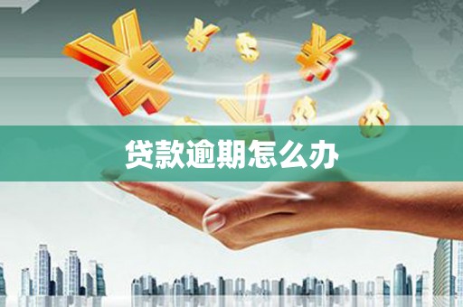 马关贷款逾期怎么办
