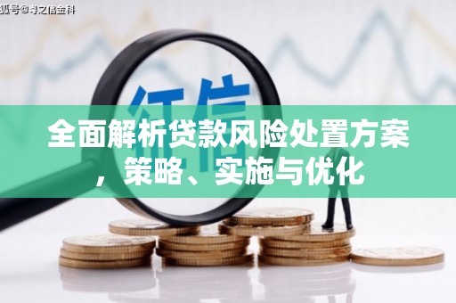 马关全面解析贷款风险处置方案，策略、实施与优化