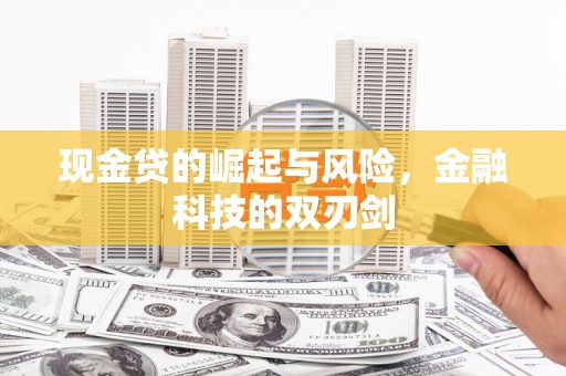 马关现金贷的崛起与风险，金融科技的双刃剑