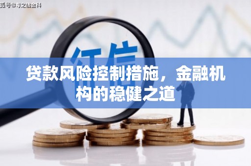 马关贷款风险控制措施，金融机构的稳健之道