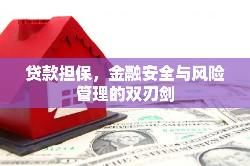 马关贷款担保，金融安全与风险管理的双刃剑
