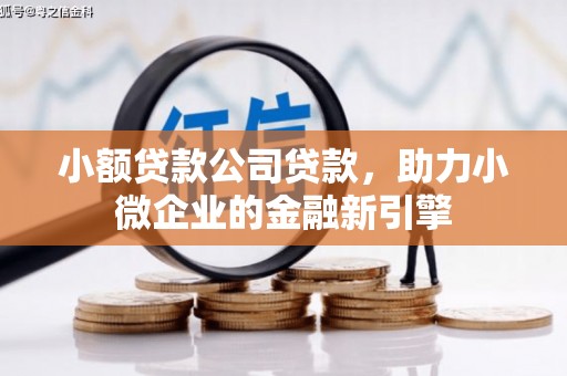 马关小额贷款公司贷款，助力小微企业的金融新引擎