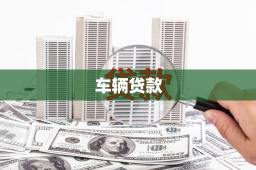 马关车辆贷款