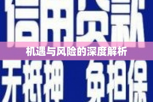 马关机遇与风险的深度解析