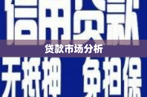 马关贷款市场分析