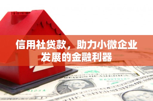 马关信用社贷款，助力小微企业发展的金融利器