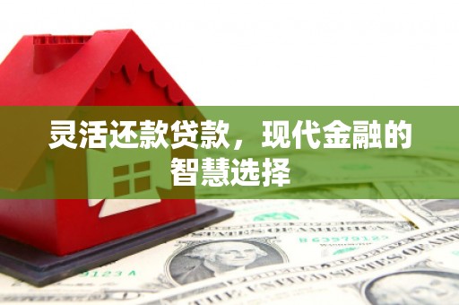 马关灵活还款贷款，现代金融的智慧选择