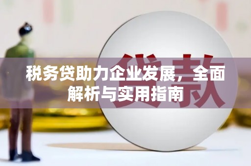 马关税务贷助力企业发展，全面解析与实用指南