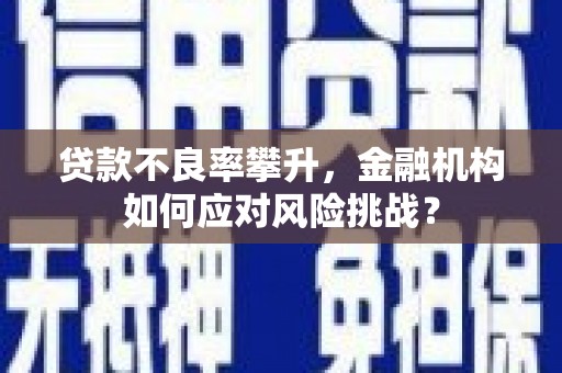 马关贷款不良率攀升，金融机构如何应对风险挑战？