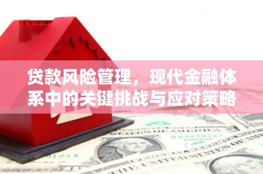 马关贷款风险管理，现代金融体系中的关键挑战与应对策略