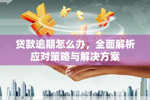 马关贷款逾期怎么办，全面解析应对策略与解决方案
