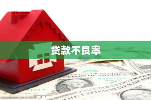 马关贷款不良率