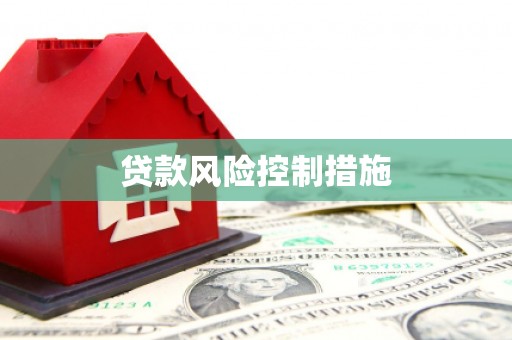 马关贷款风险控制措施