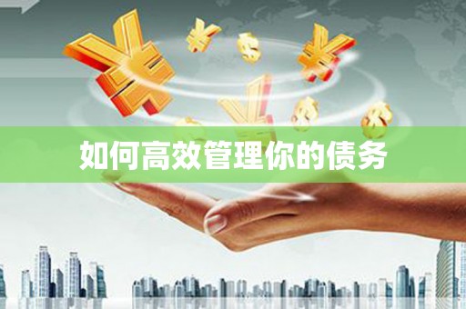 马关如何高效管理你的债务