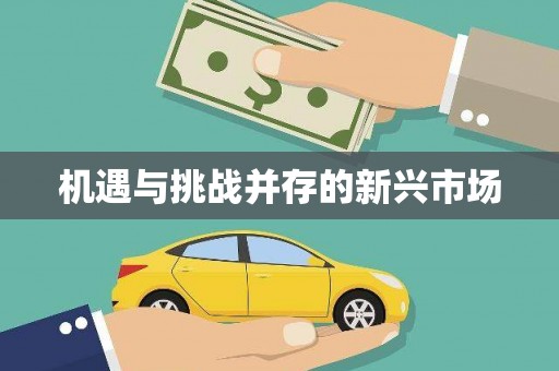 马关机遇与挑战并存的新兴市场