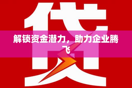 马关解锁资金潜力，助力企业腾飞