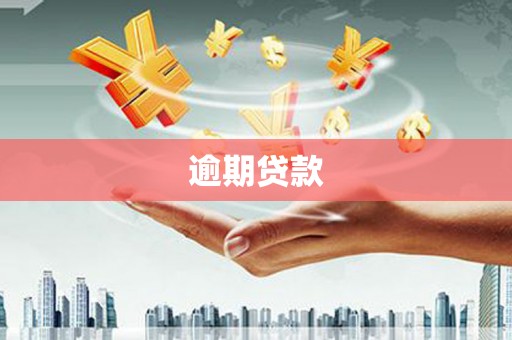 马关逾期贷款